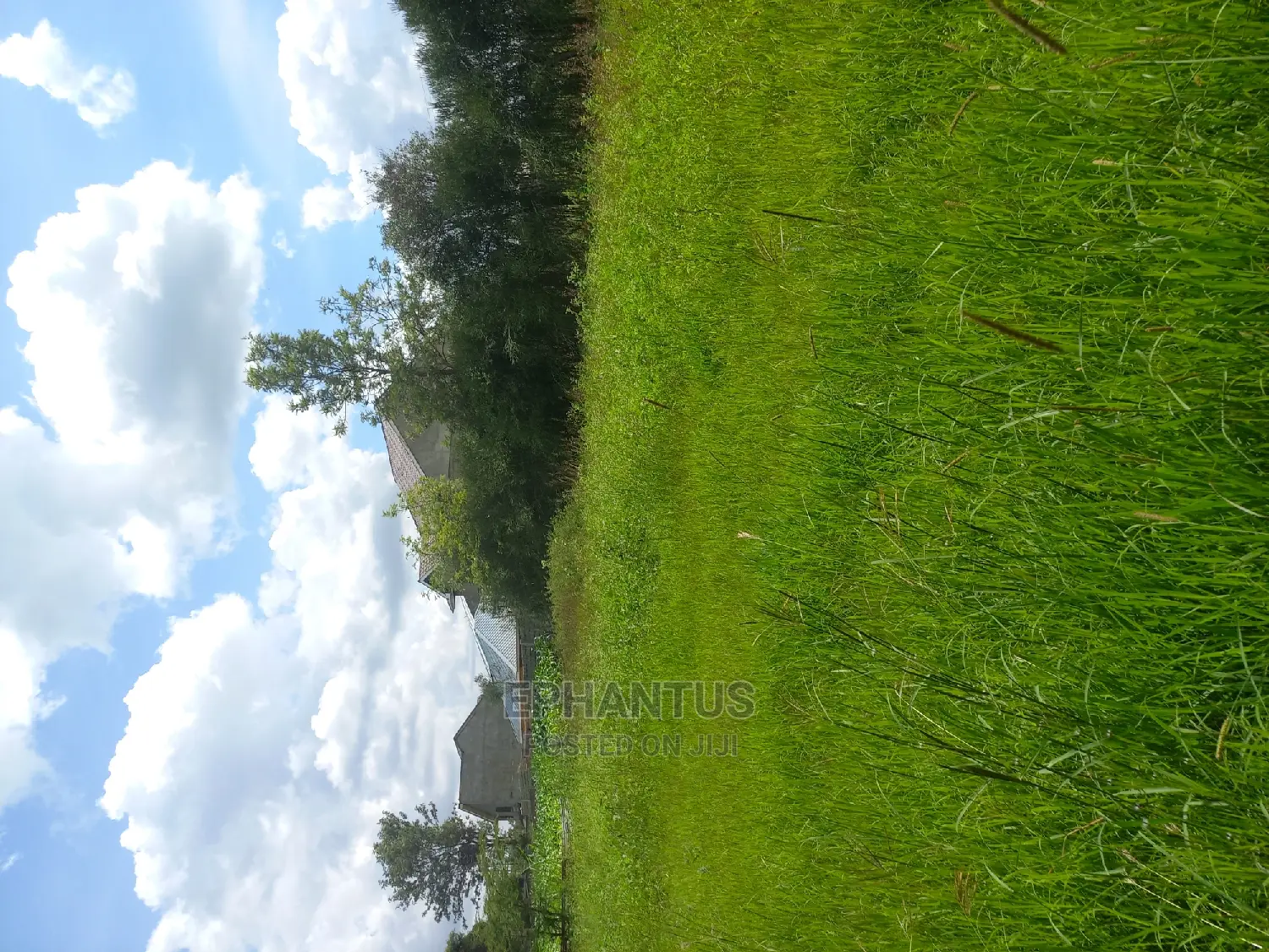 Prime One Acre Property in Joska - For Sale Today in Ruai