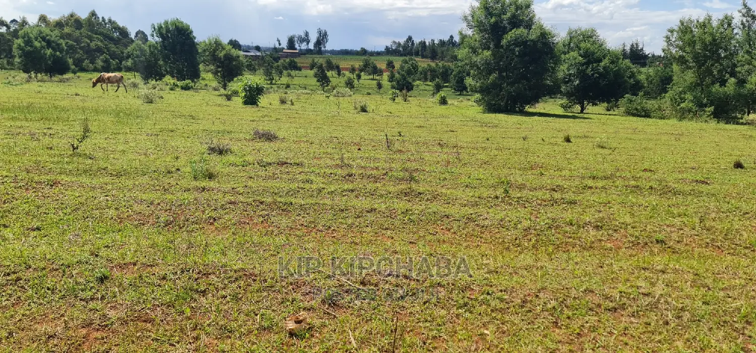 10 Acres Land Sale in Chembulet Eldoret, Kenya in Sergoit