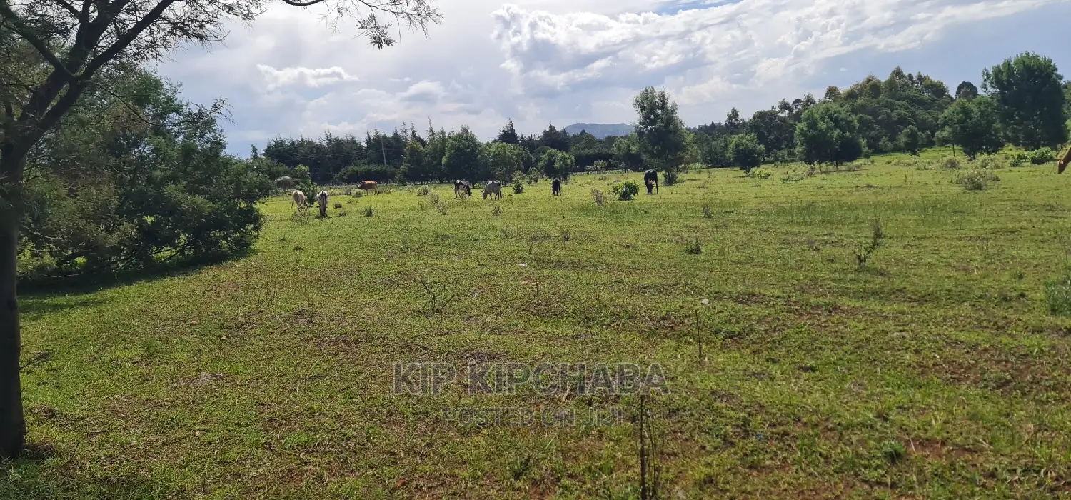 10 Acres Land Sale in Chembulet Eldoret, Kenya in Sergoit