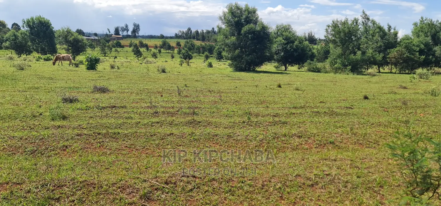 10 Acres Land Sale in Chembulet Eldoret, Kenya in Sergoit