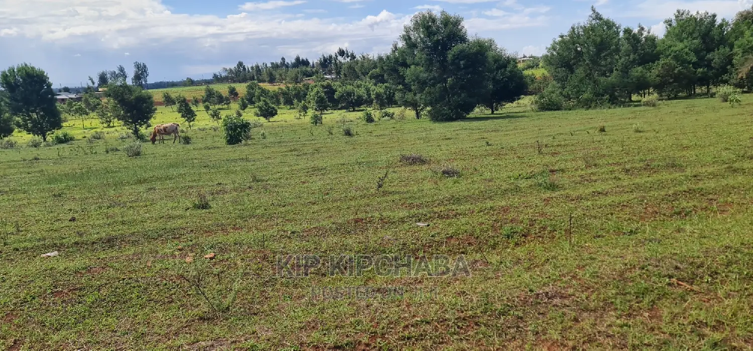 10 Acres Land Sale in Chembulet Eldoret, Kenya in Sergoit