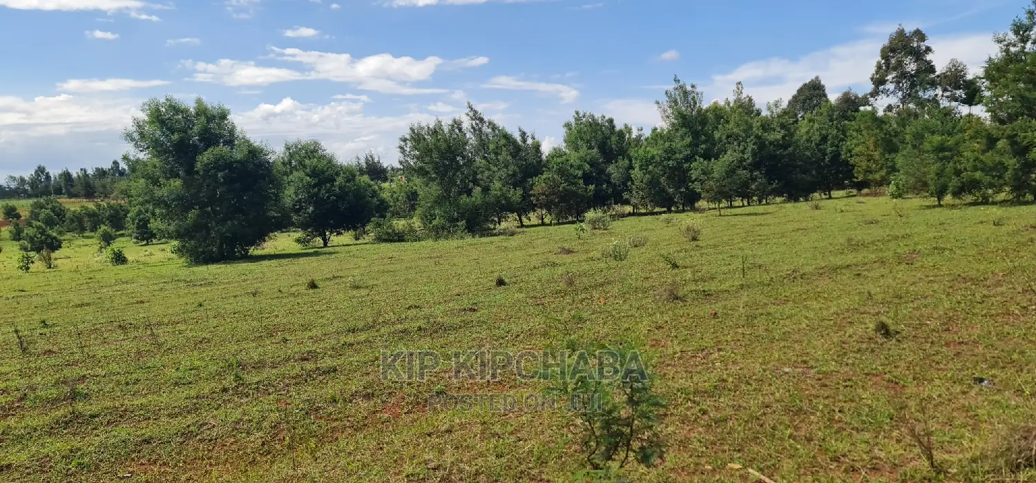 10 Acres Land Sale in Chembulet Eldoret, Kenya in Sergoit