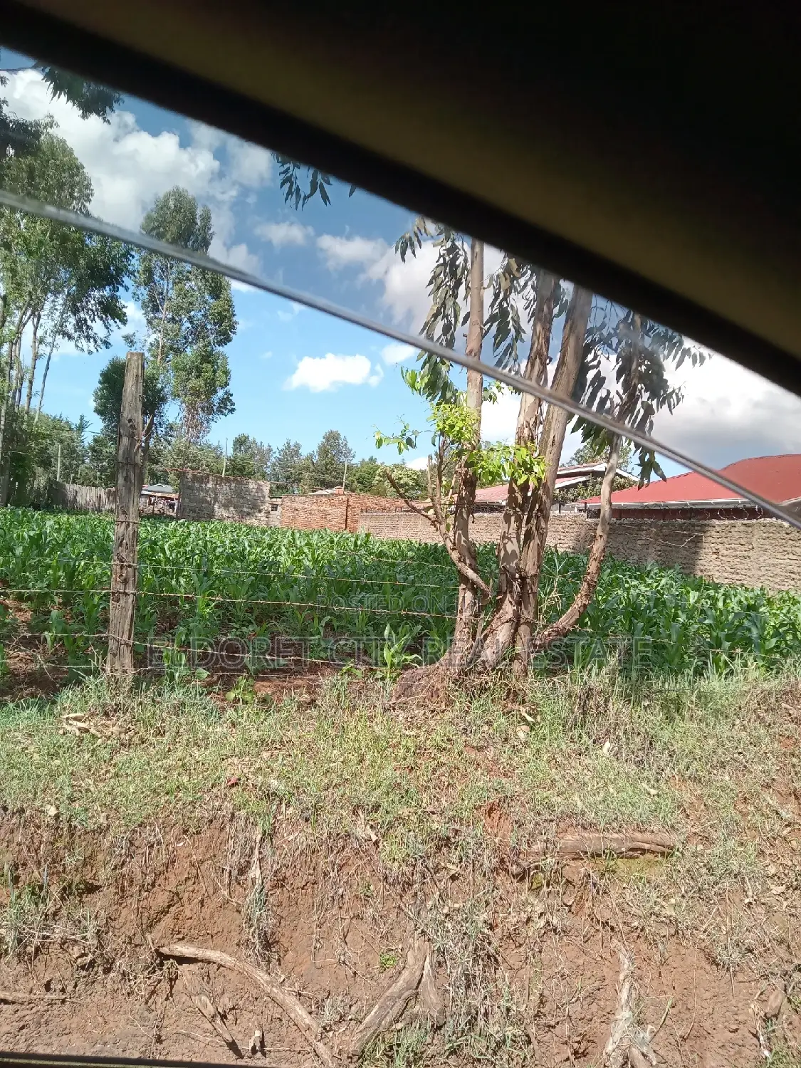 Kimumu Junction 1/4 Acre Plot: Your Dream Property Awaits! in Soy