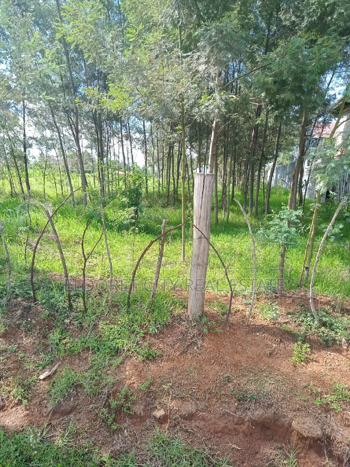 Spacious 1/2 Acre Annex: Perfect Rental Opportunity in Soy