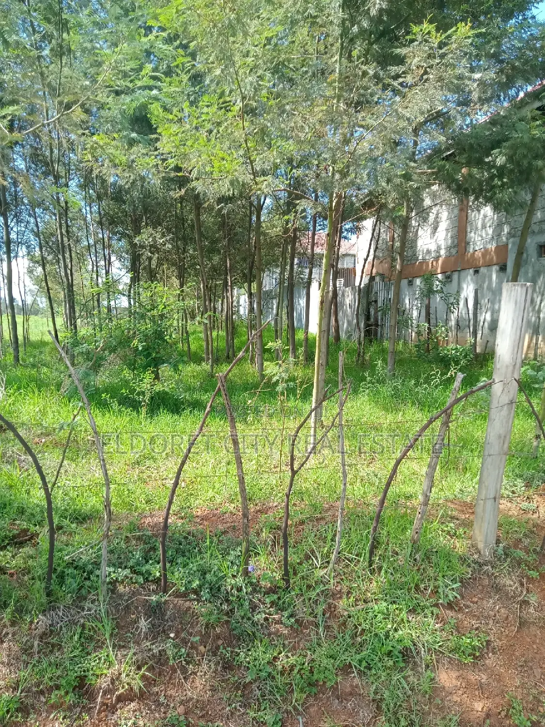 Spacious 1/2 Acre Annex: Perfect Rental Opportunity in Soy