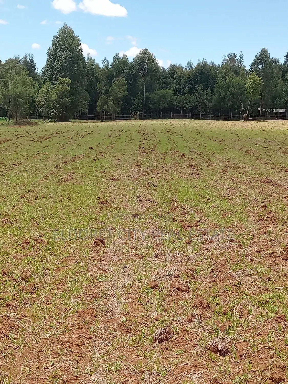 Cheplasgei 65-Acre Title Land: Your Gateway to a Profitable, Picturesque Adventure in Soy