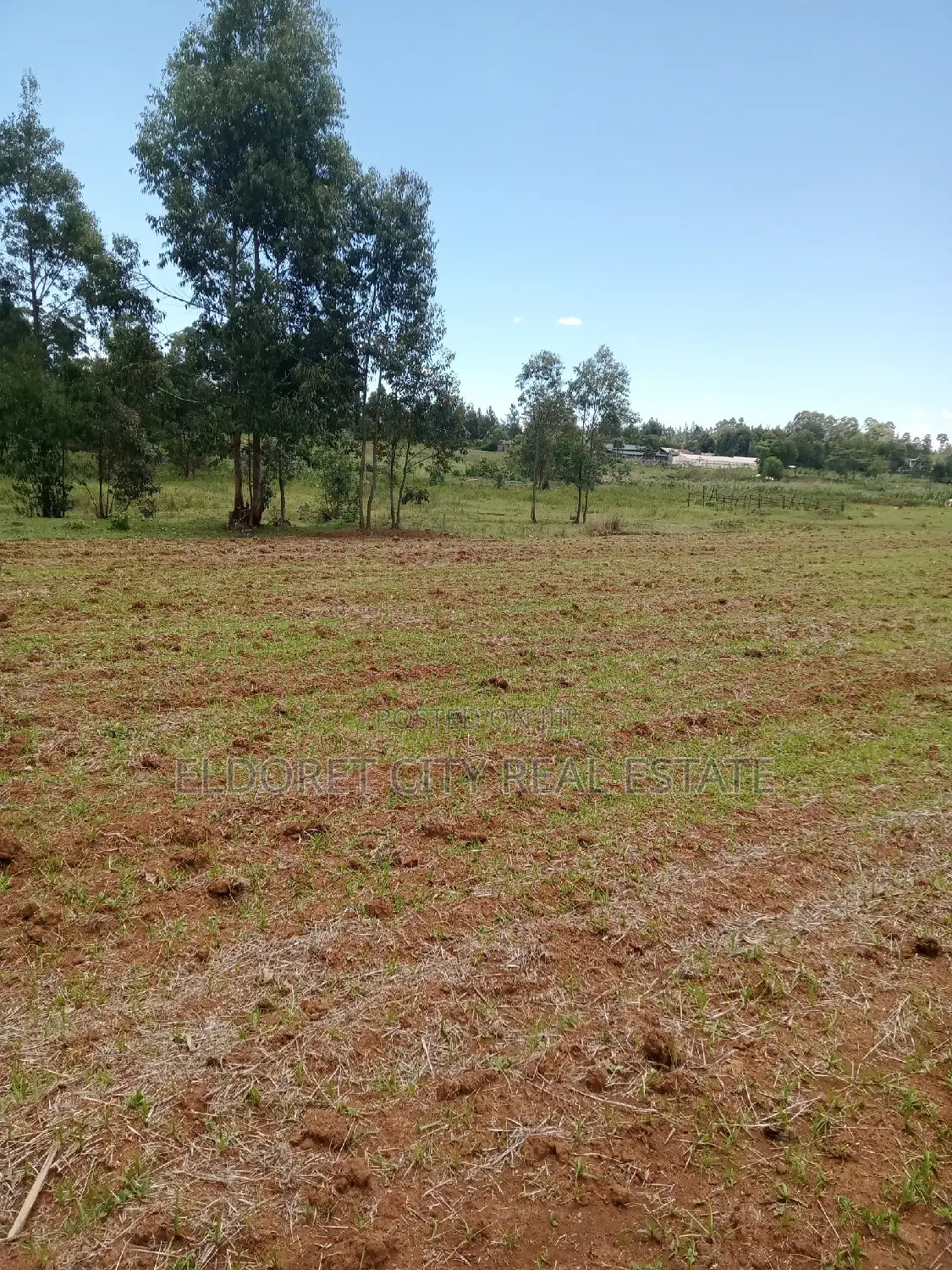 Cheplasgei 65-Acre Title Land: Your Gateway to a Profitable, Picturesque Adventure in Soy