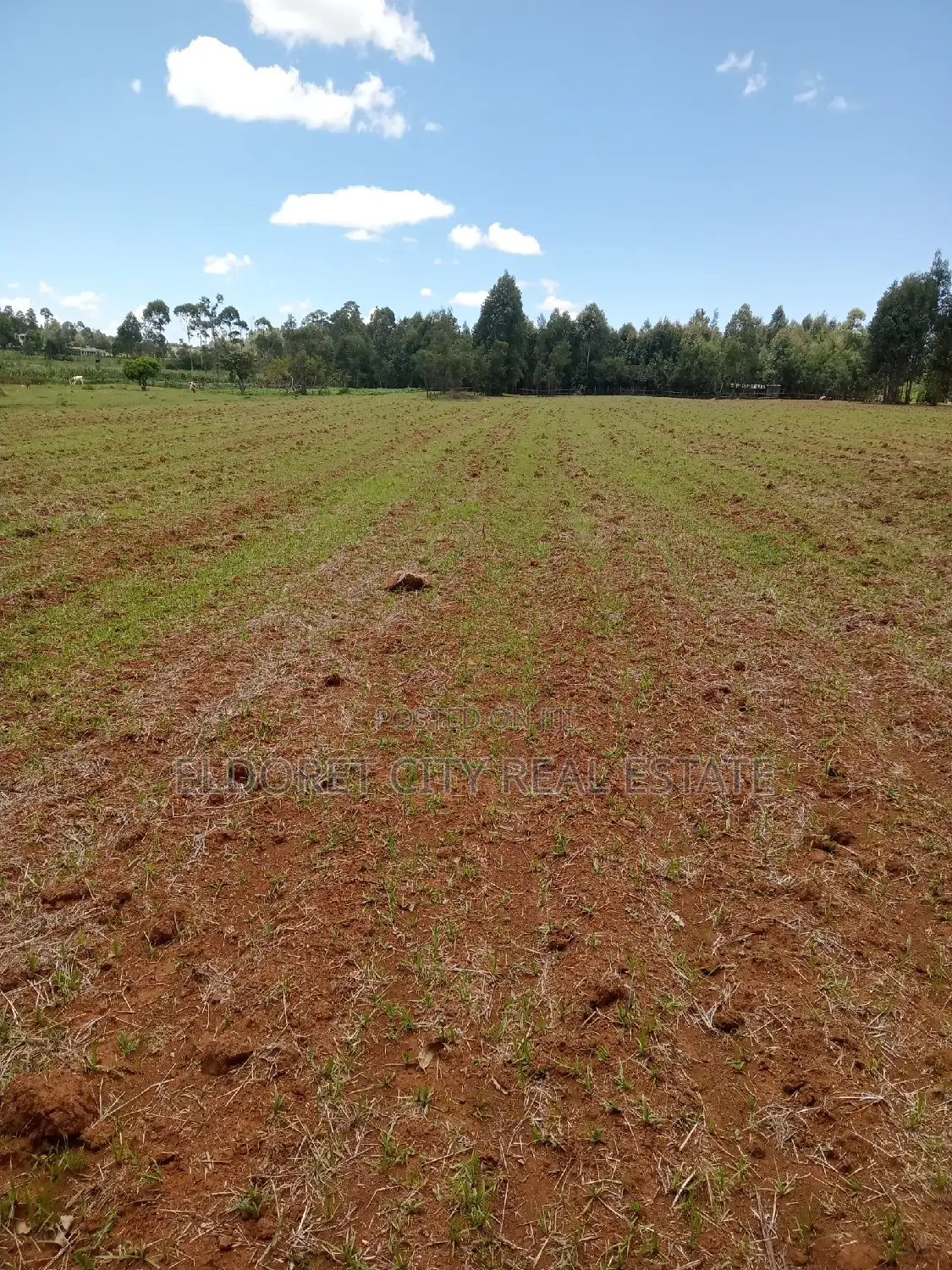 Cheplasgei 65-Acre Title Land: Your Gateway to a Profitable, Picturesque Adventure in Soy