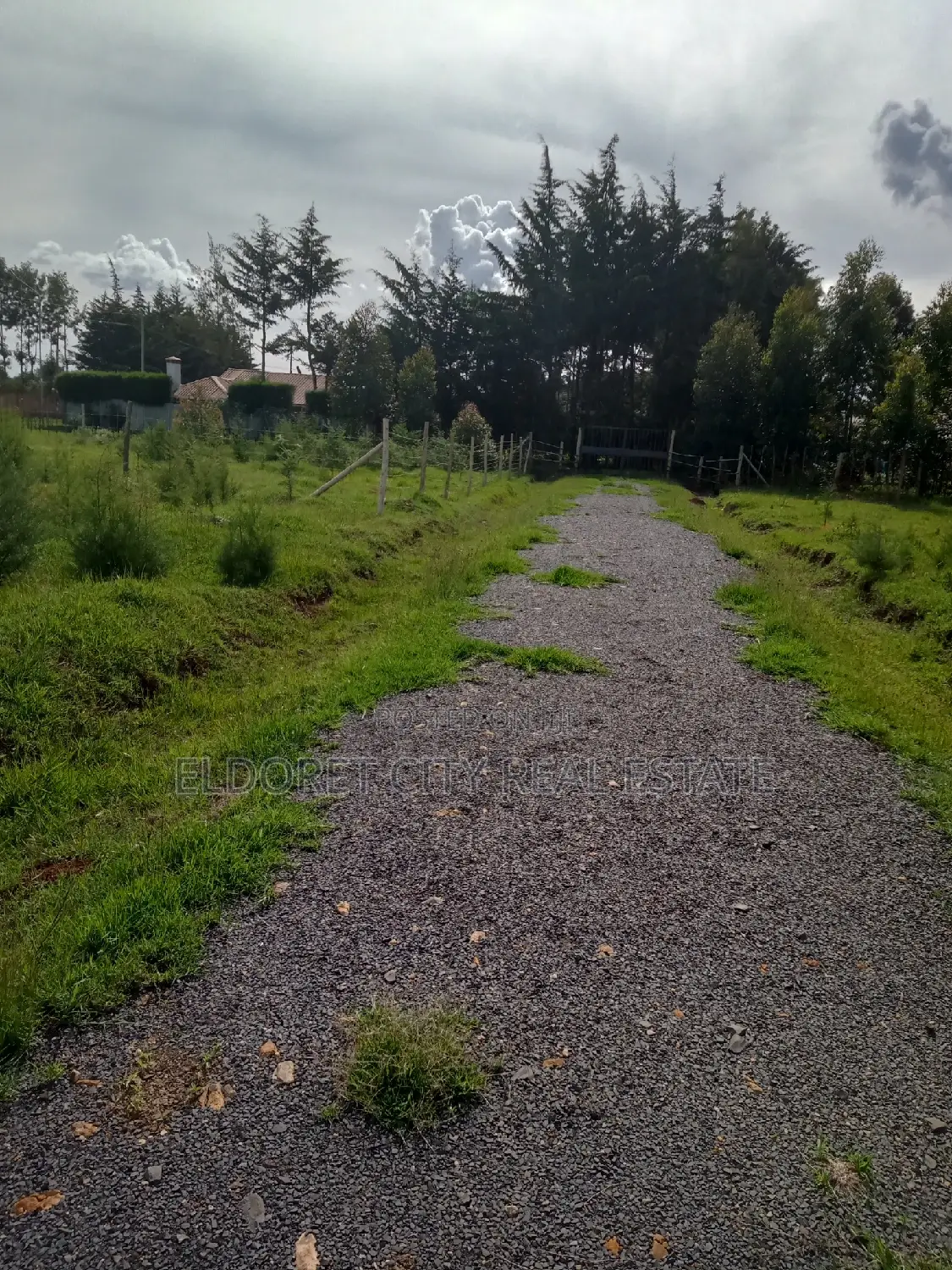 Marriott 1/4 Plot - Perfect for Residential Title in Soy