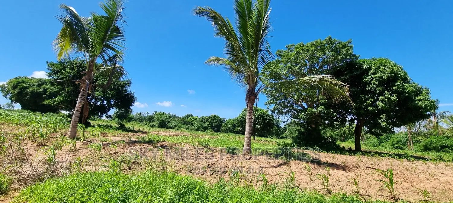 Invest in Bomani's 5-Acre Property - Dream Real Estate Deal in Kikambala