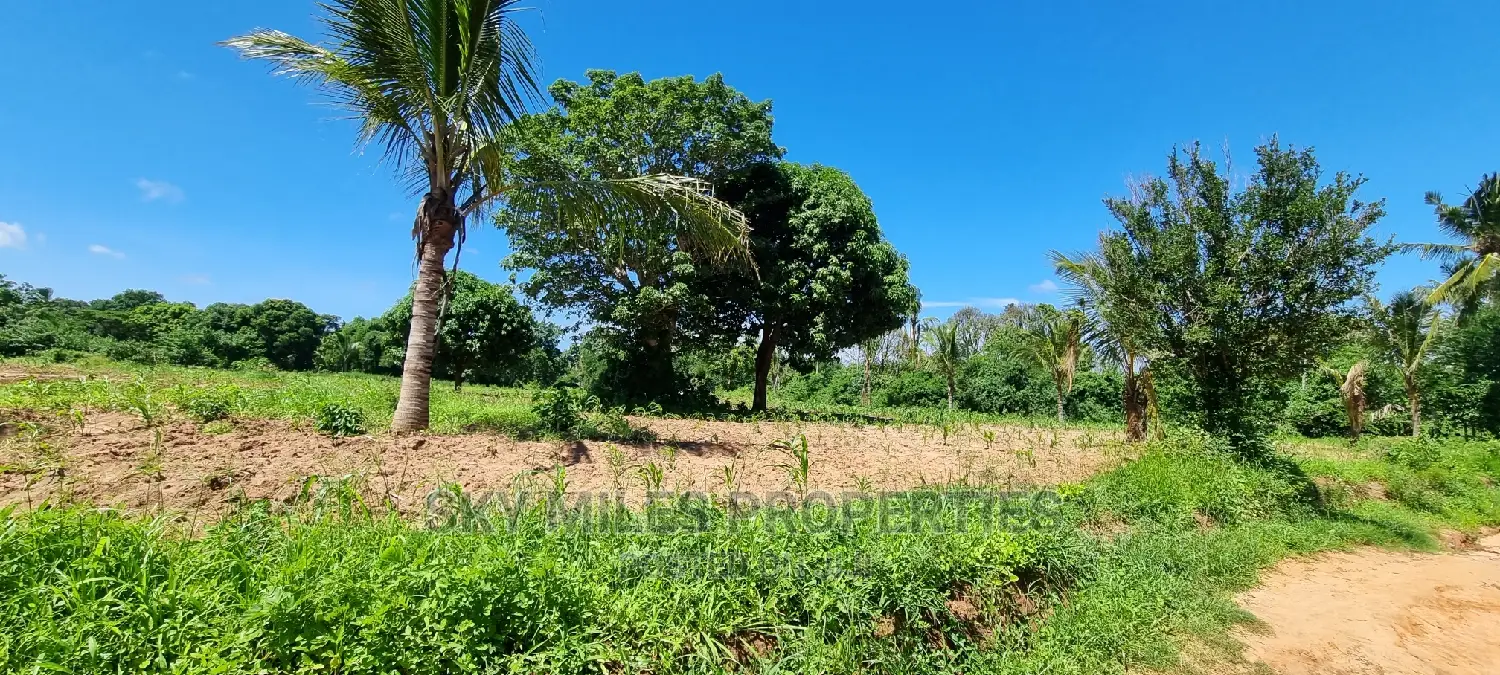 Invest in Bomani's 5-Acre Property - Dream Real Estate Deal in Kikambala