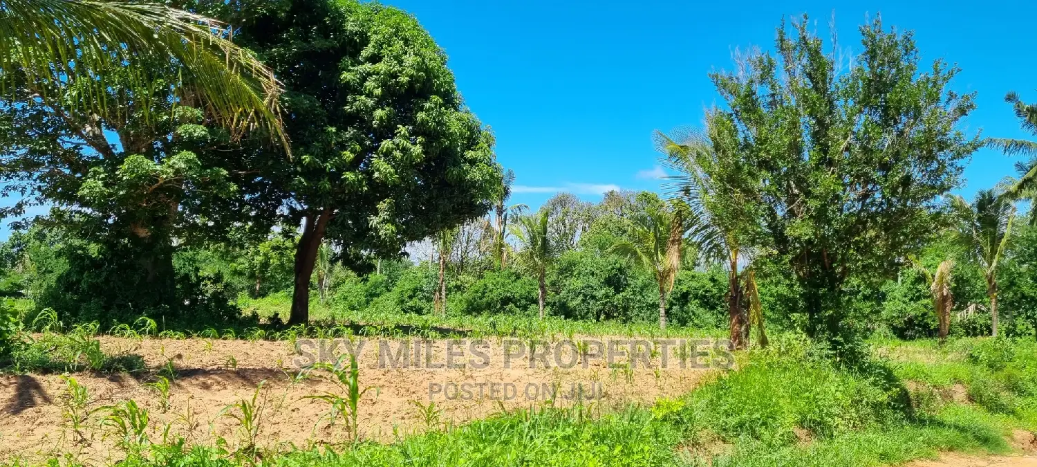 Invest in Bomani's 5-Acre Property - Dream Real Estate Deal in Kikambala