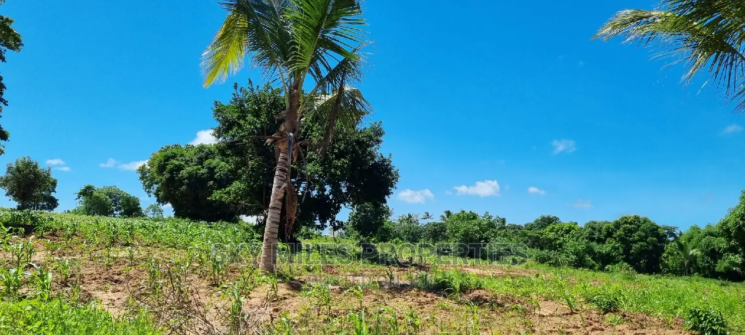 Invest in Bomani's 5-Acre Property - Dream Real Estate Deal in Kikambala