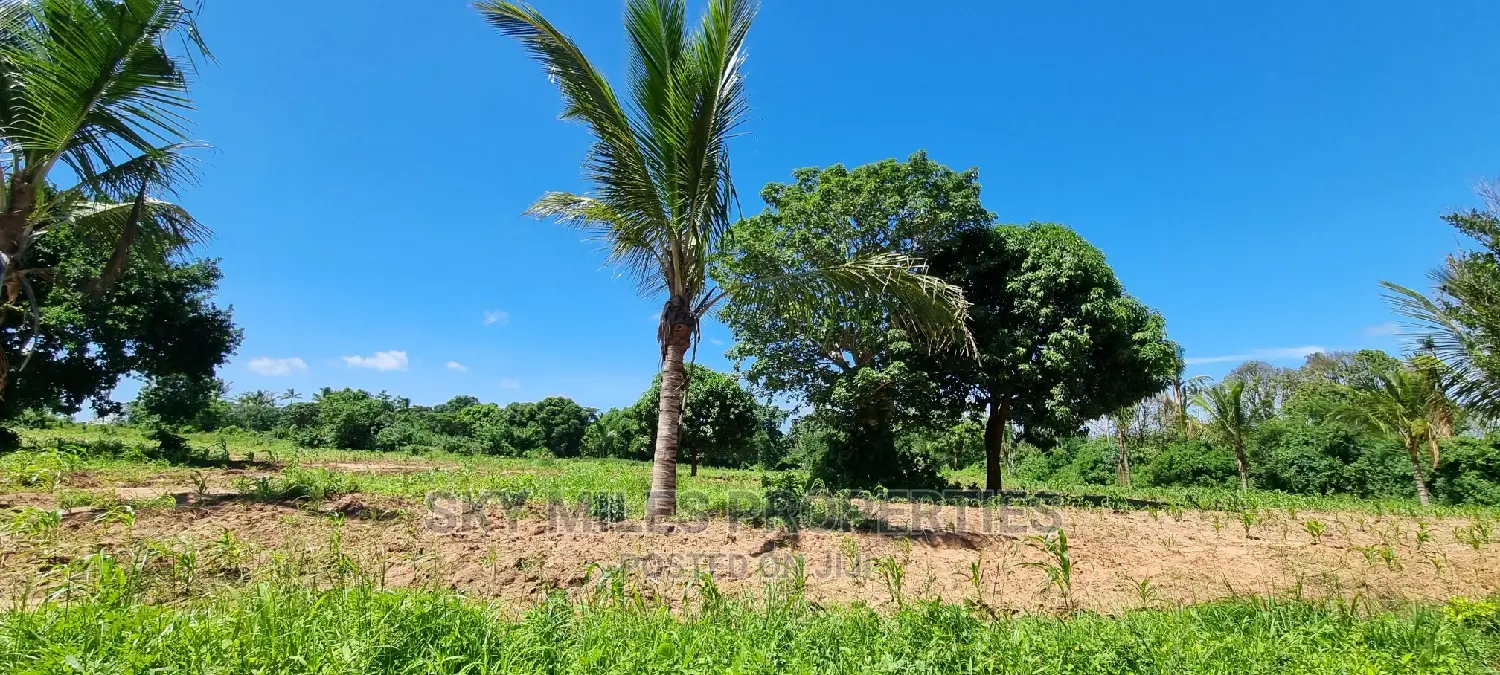 Invest in Bomani's 5-Acre Property - Dream Real Estate Deal in Kikambala