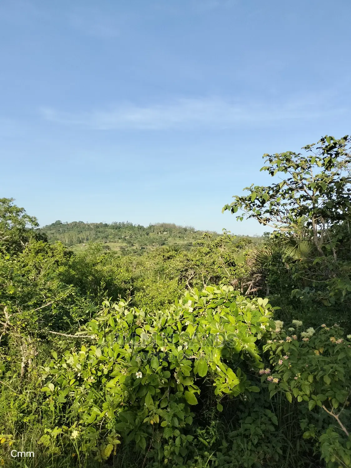 Farm Land in Shimbahills - A Great Investment with Potential for Growth in Kubo South