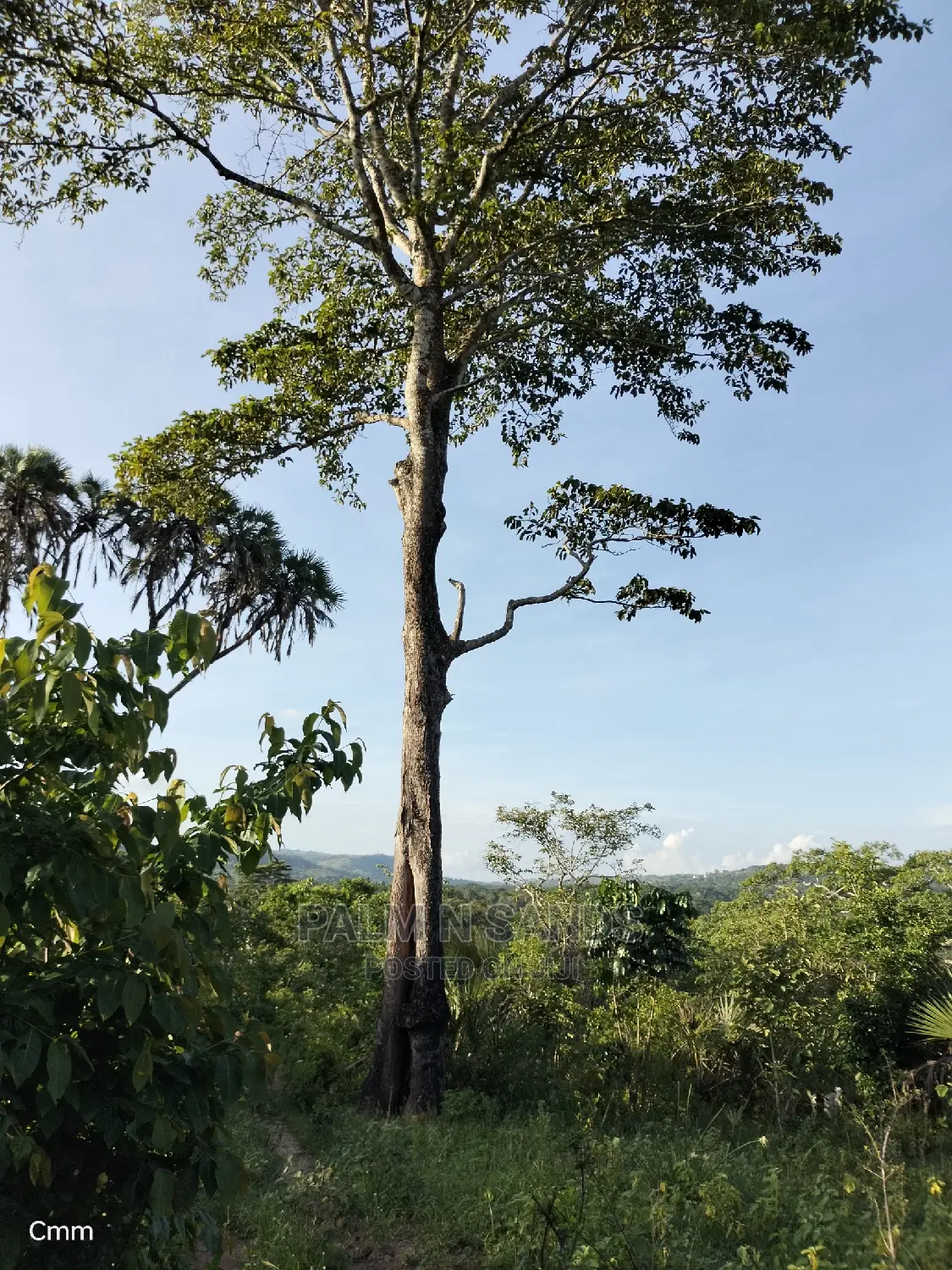 Farm Land in Shimbahills - A Great Investment with Potential for Growth in Kubo South