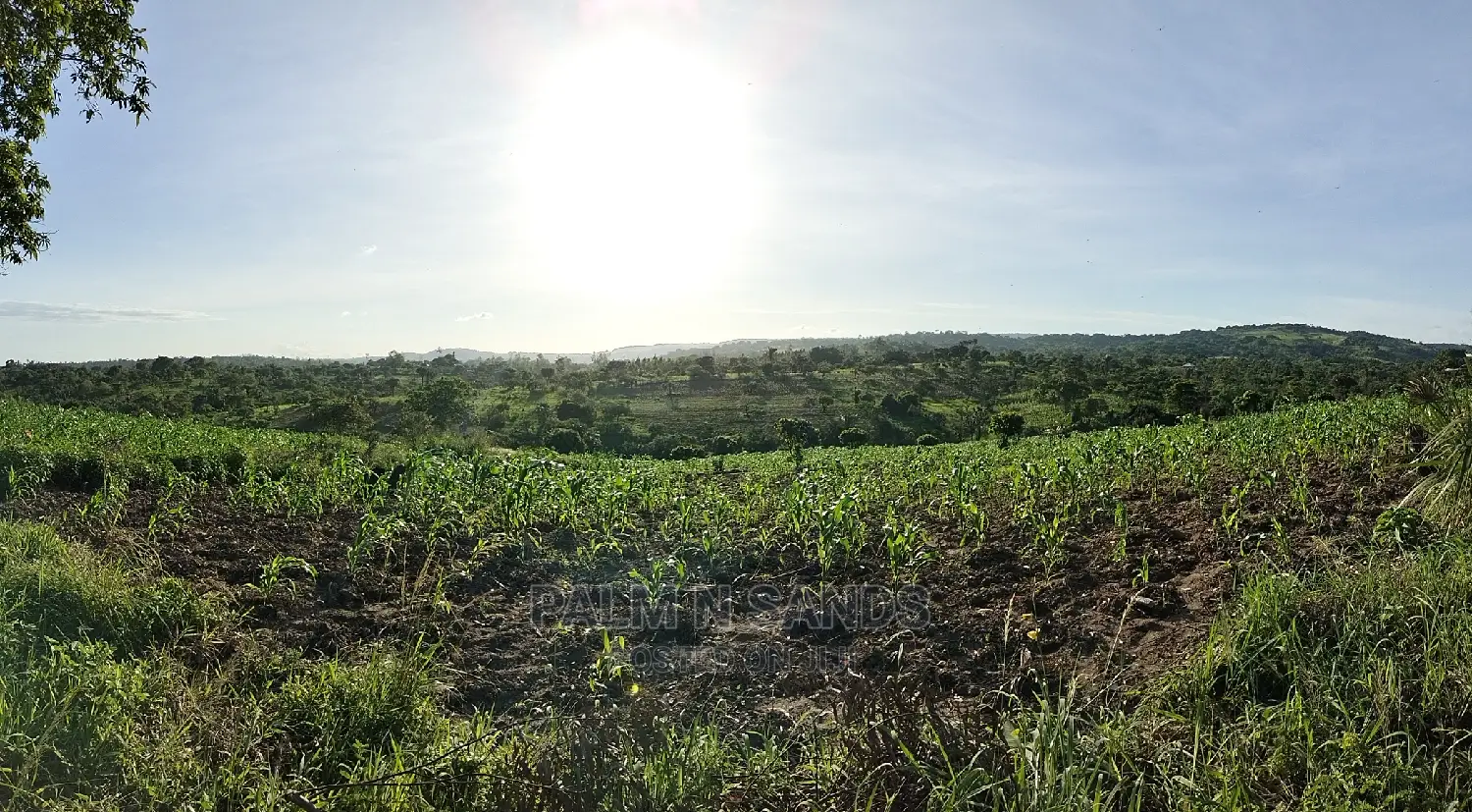Farm Land in Shimbahills - A Great Investment with Potential for Growth in Kubo South