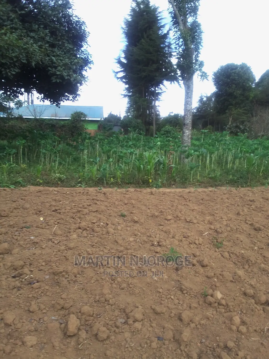 100 By 100 Plot Mwiciringiri, Naivasha in Naivasha