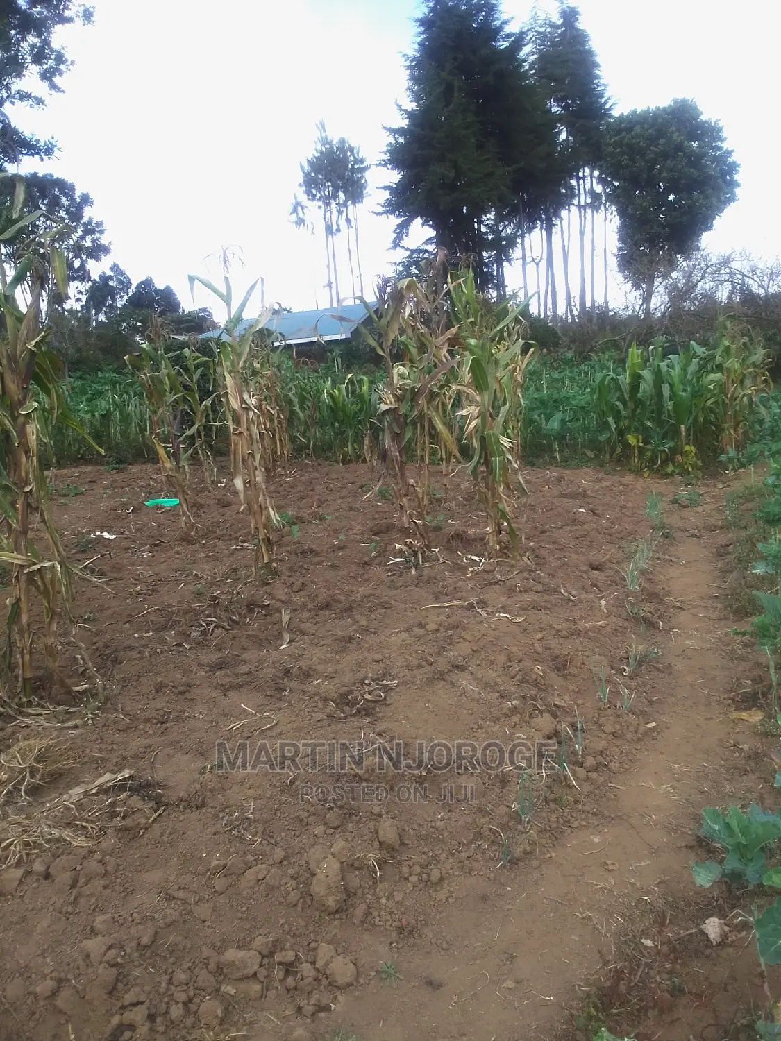 100 By 100 Plot Mwiciringiri, Naivasha in Naivasha