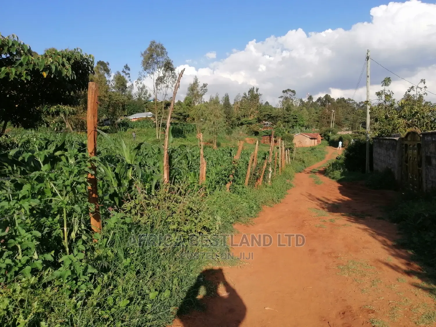 Residential Plot for Sale in Kikuyu Rusigiti in Kikuyu