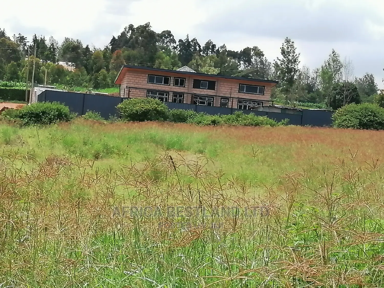 50x100 Ft Plot for Sale in Kikuyu Migumoini in Kikuyu