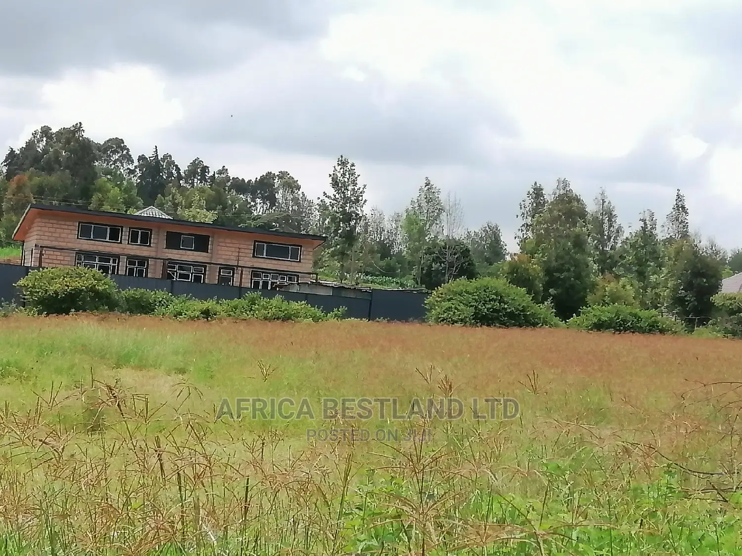 50x100 Ft Plot for Sale in Kikuyu Migumoini in Kikuyu