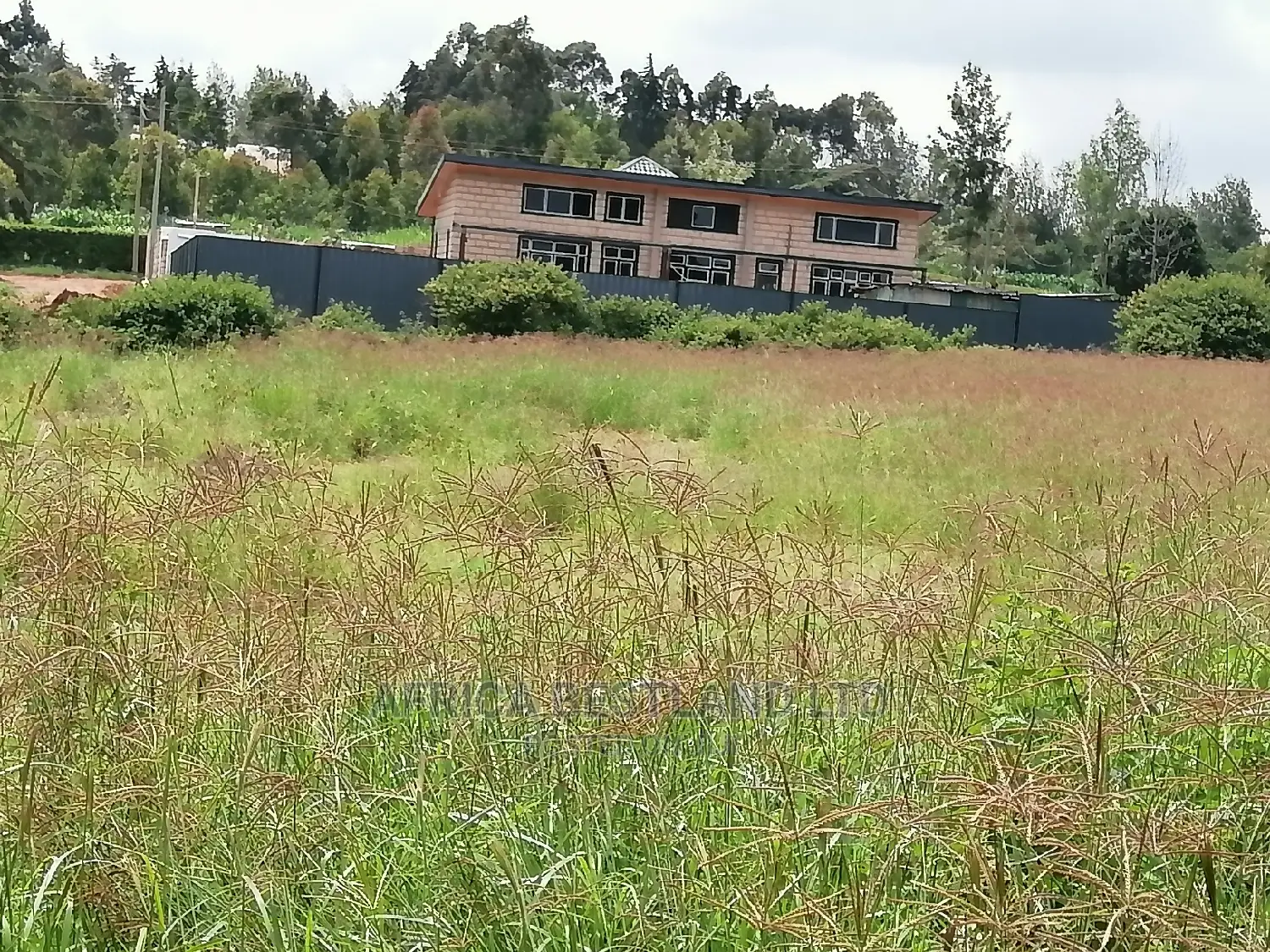 50x100 Ft Plot for Sale in Kikuyu Migumoini in Kikuyu