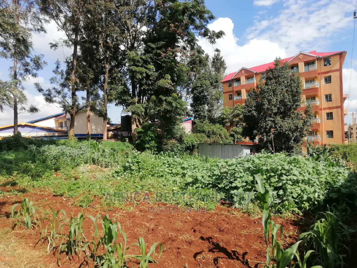 100x100 Ft Plot for Sale in Kabete Wangige in Kabete