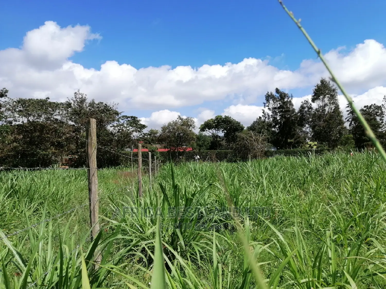 Residential 50x100 Ft Plot for Sale in Thigio Nguirubi in Kikuyu