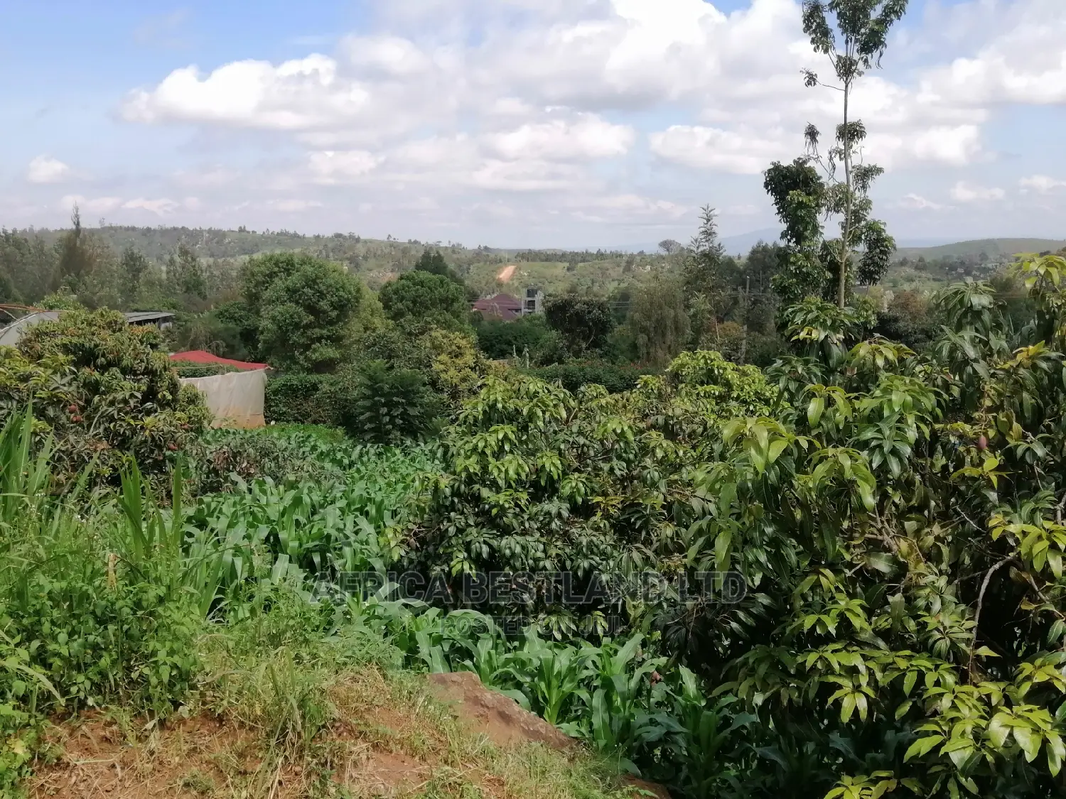 Residential 50x100 Ft Plot for Sale in Thigio Nguirubi in Kikuyu