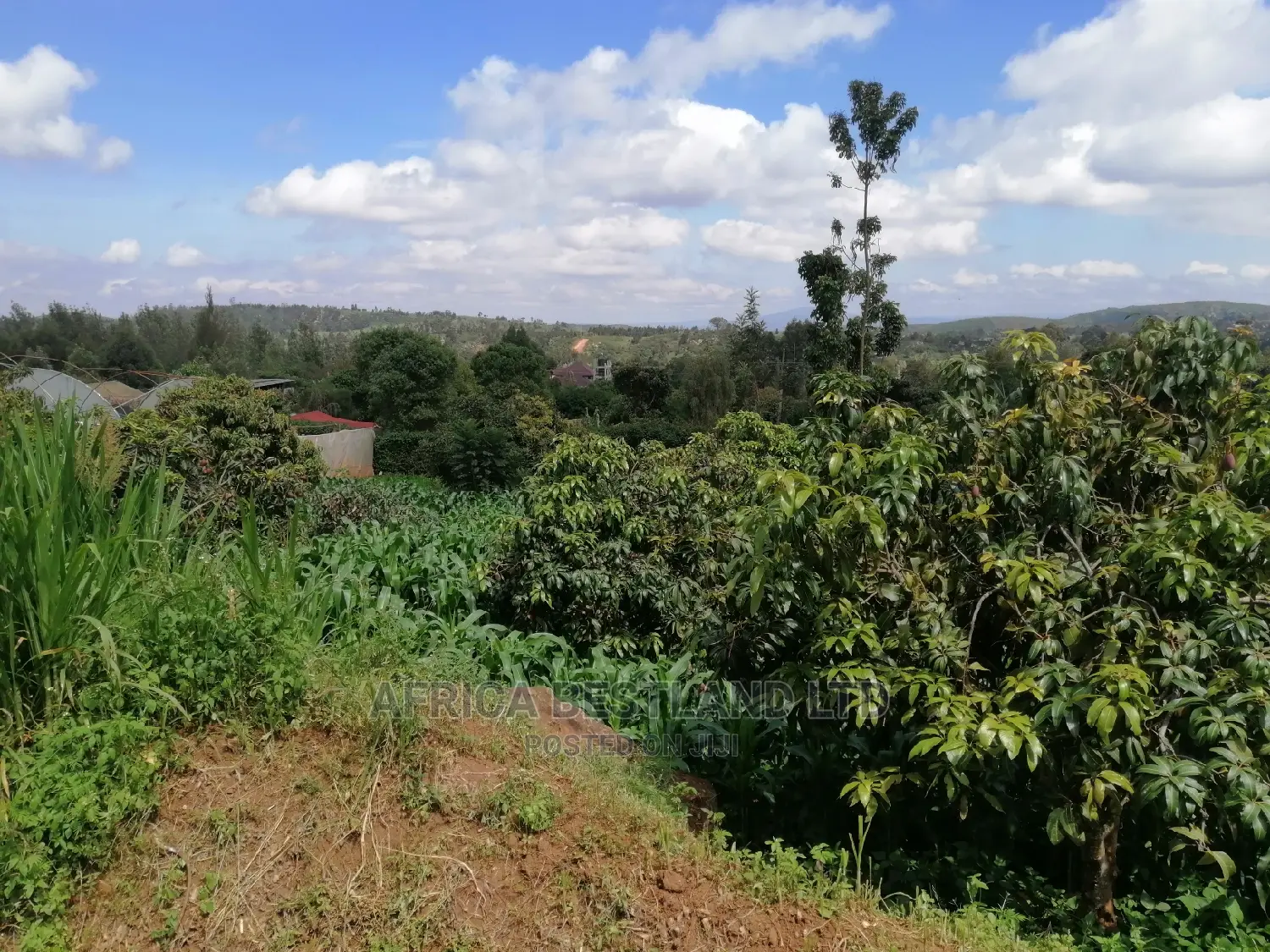 Residential 50x100 Ft Plot for Sale in Thigio Nguirubi in Kikuyu
