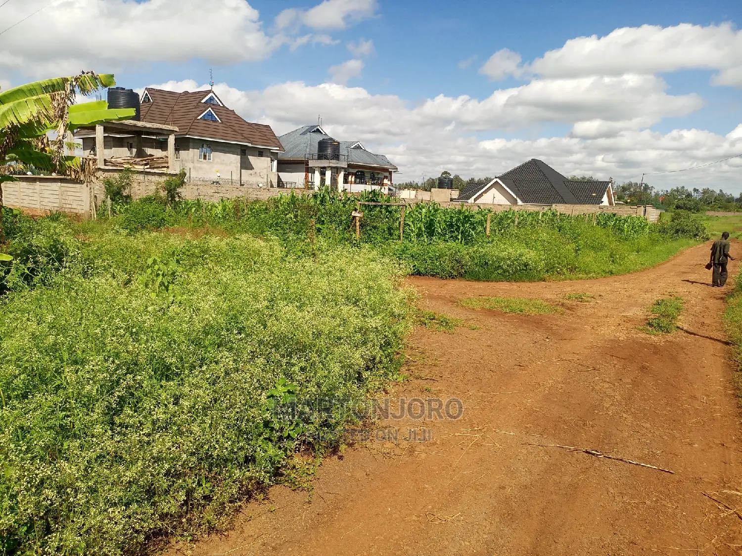 High-Quality 50 x 100cm Rugs Available in Ruiru (Mugutha in RedSoil Estate