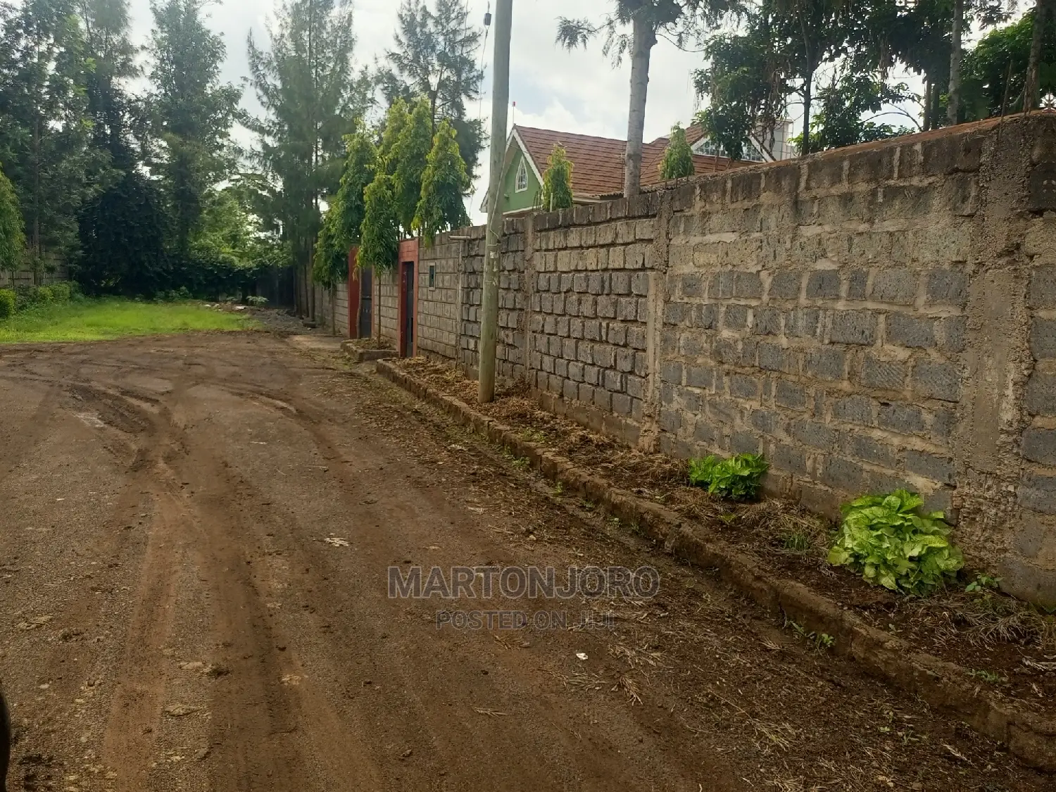 High-Quality 50 x 100cm Rugs Available in Ruiru (Mugutha in RedSoil Estate