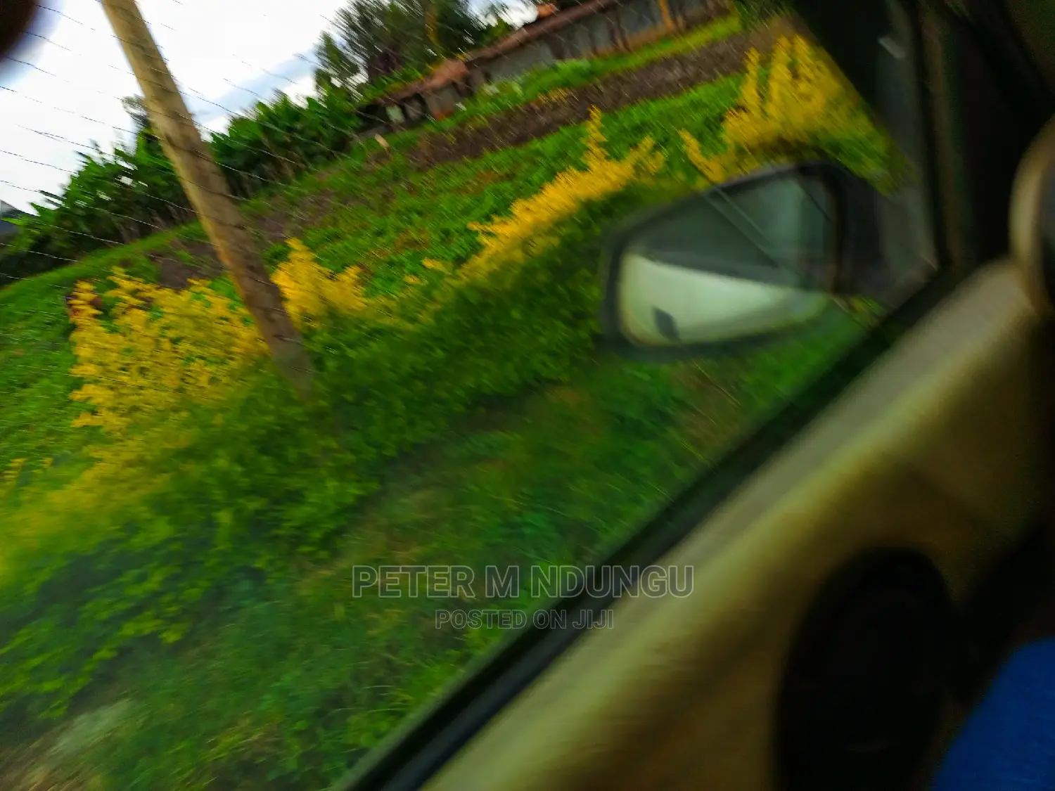 Exclusive Garden Estate on 5.5 Acres - Prime Real Estate for Sale in Nairobi Central