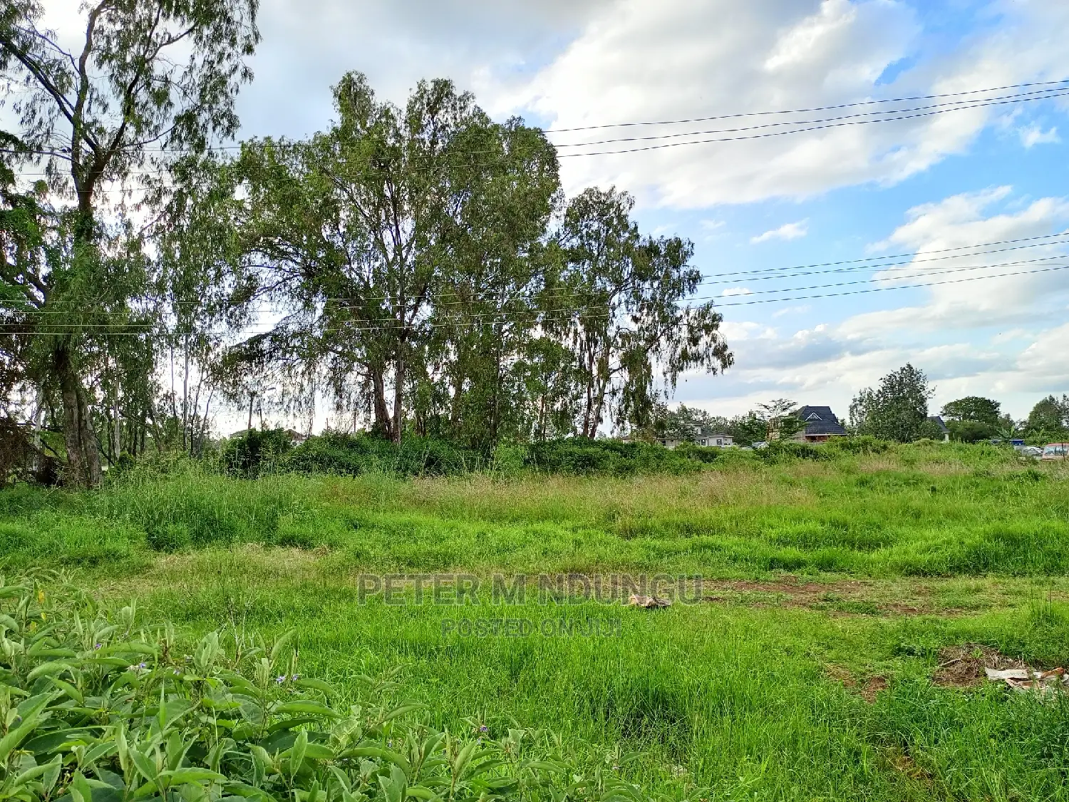 Exclusive Garden Estate on 5.5 Acres - Prime Real Estate for Sale in Nairobi Central