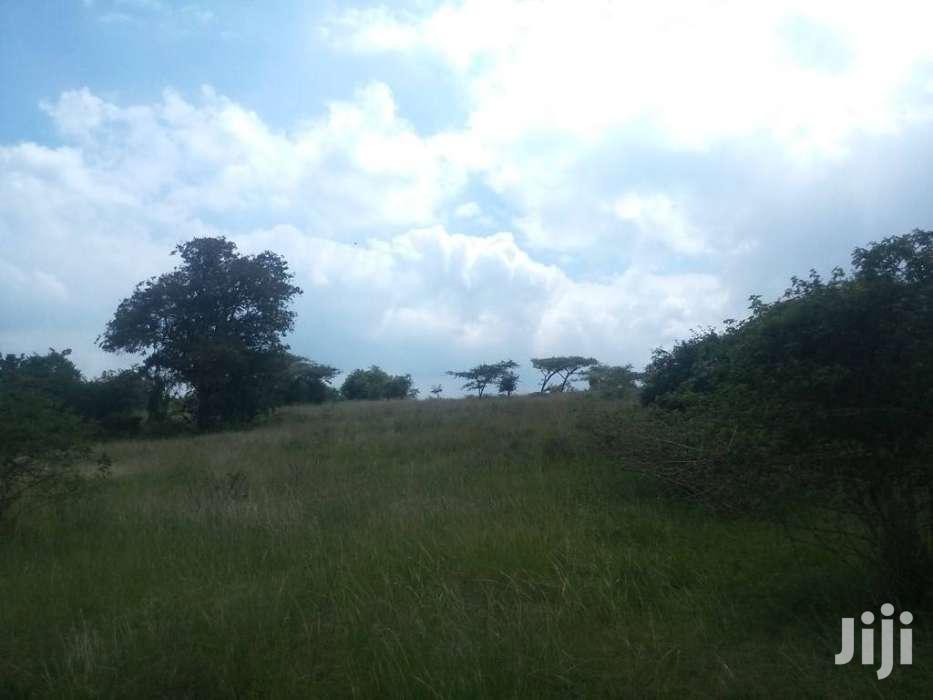 Expansive Thika 22-Acre Land - Ideal for Commercial, Industrial, or Residential Development in Kiambu / Kiambu 