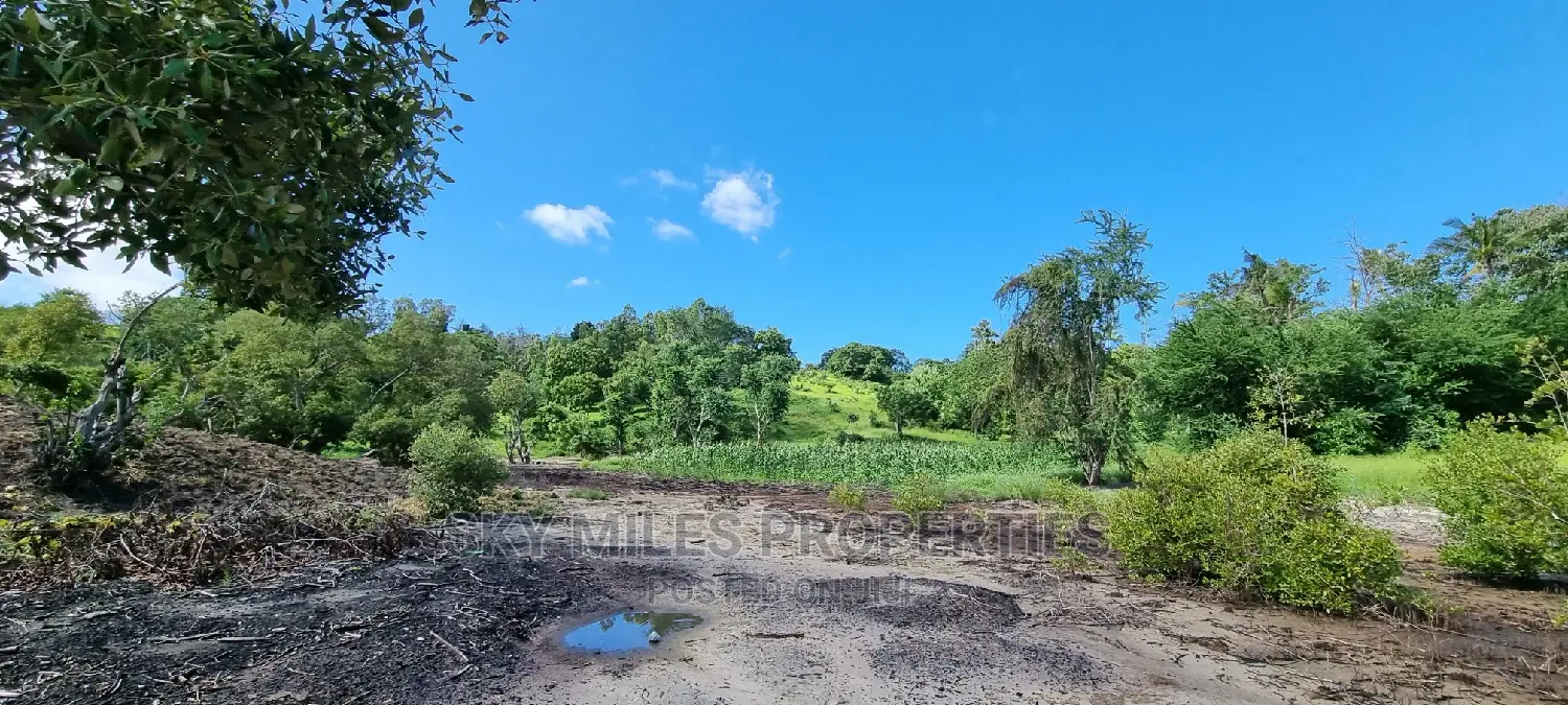 Virgin 2.5-Acre Land: Mtwapa Creek Beach Plot for Sale in Mtwapa