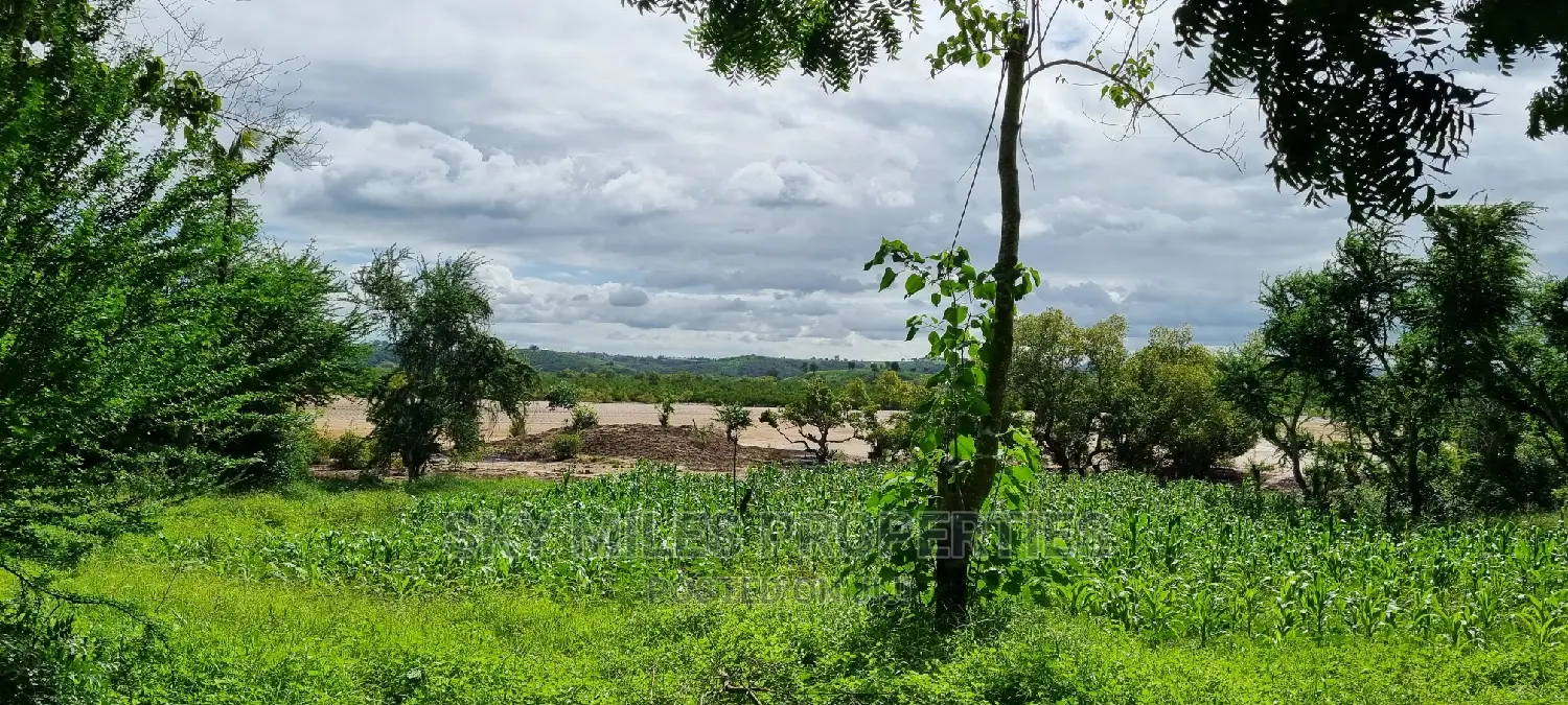 Virgin 2.5-Acre Land: Mtwapa Creek Beach Plot for Sale in Mtwapa