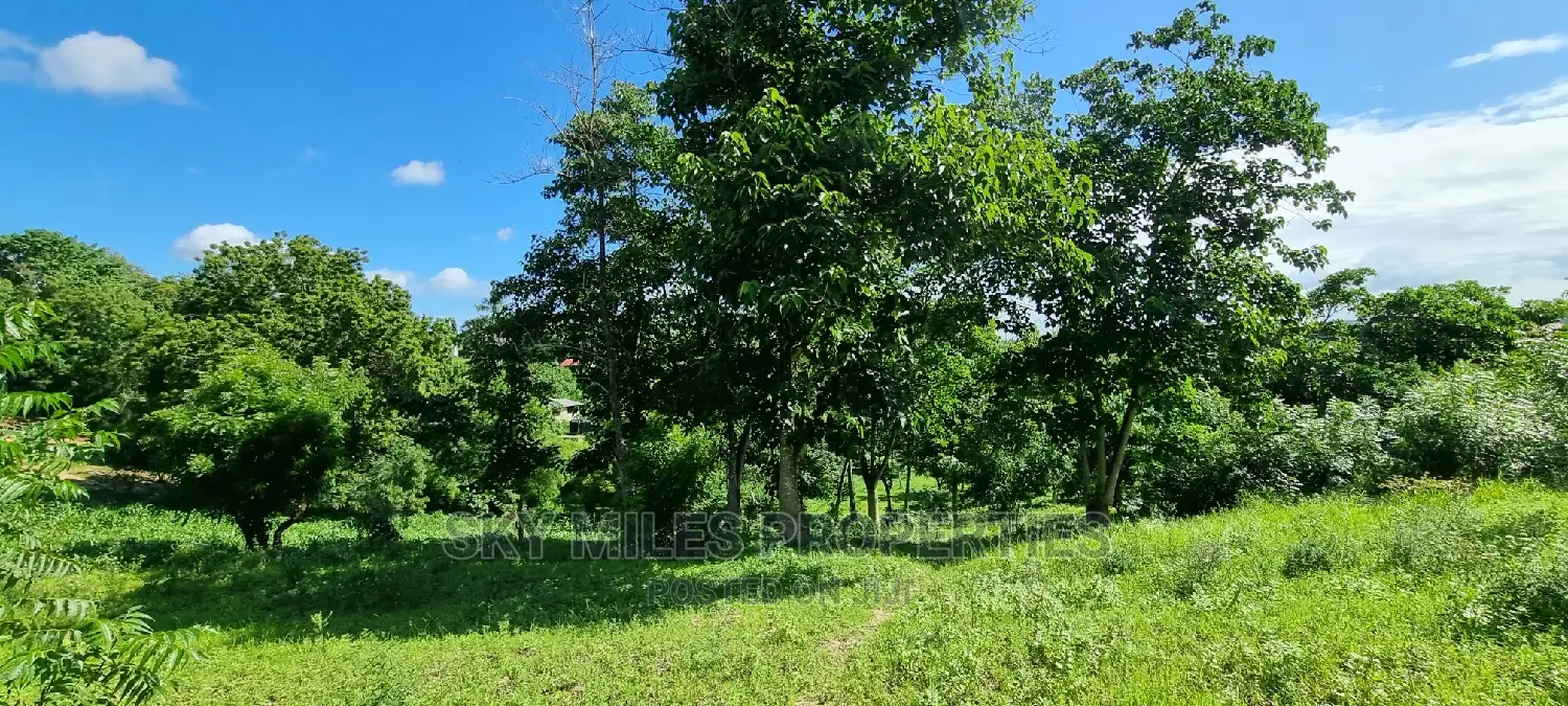 Virgin 2.5-Acre Land: Mtwapa Creek Beach Plot for Sale in Mtwapa