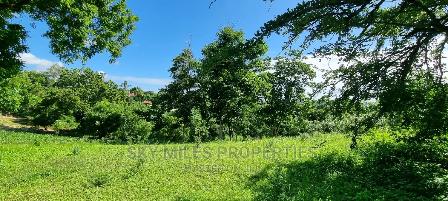 Virgin 2.5-Acre Land: Mtwapa Creek Beach Plot for Sale in Mtwapa