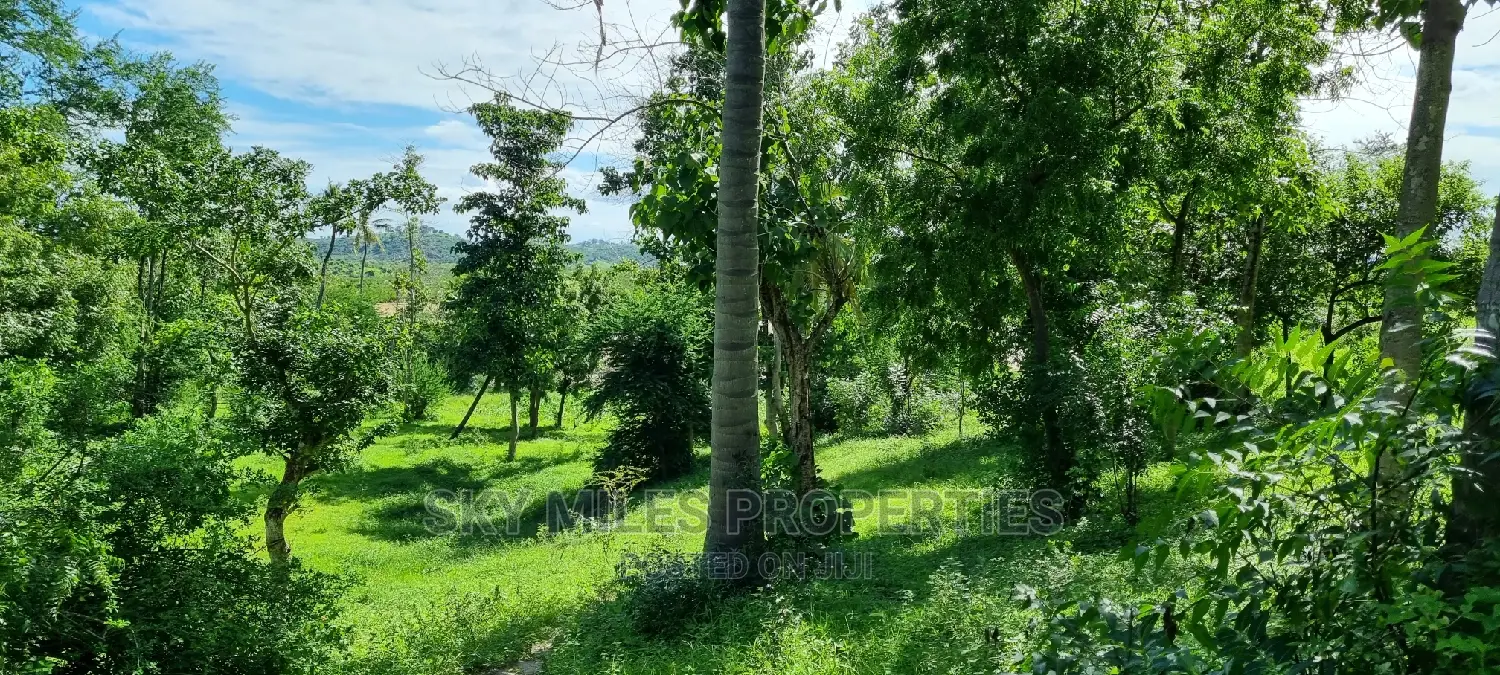 Virgin 2.5-Acre Land: Mtwapa Creek Beach Plot for Sale in Mtwapa