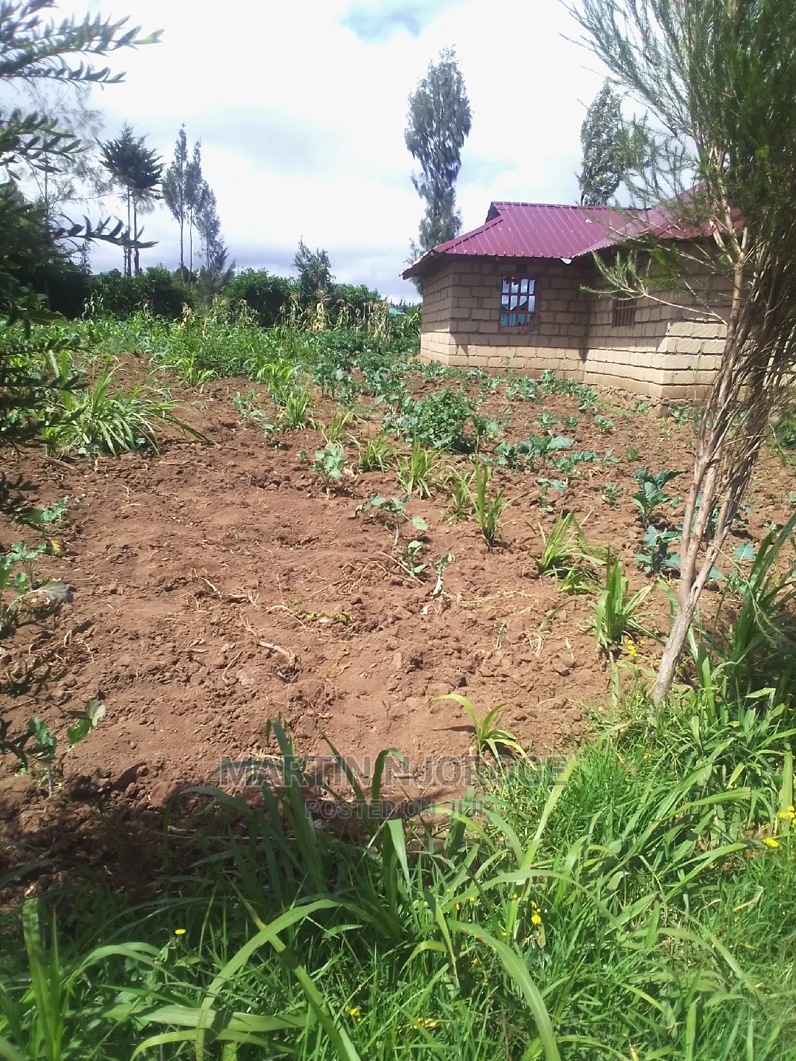 50 by 100 Acre Plot Kinungi in Naivasha East
