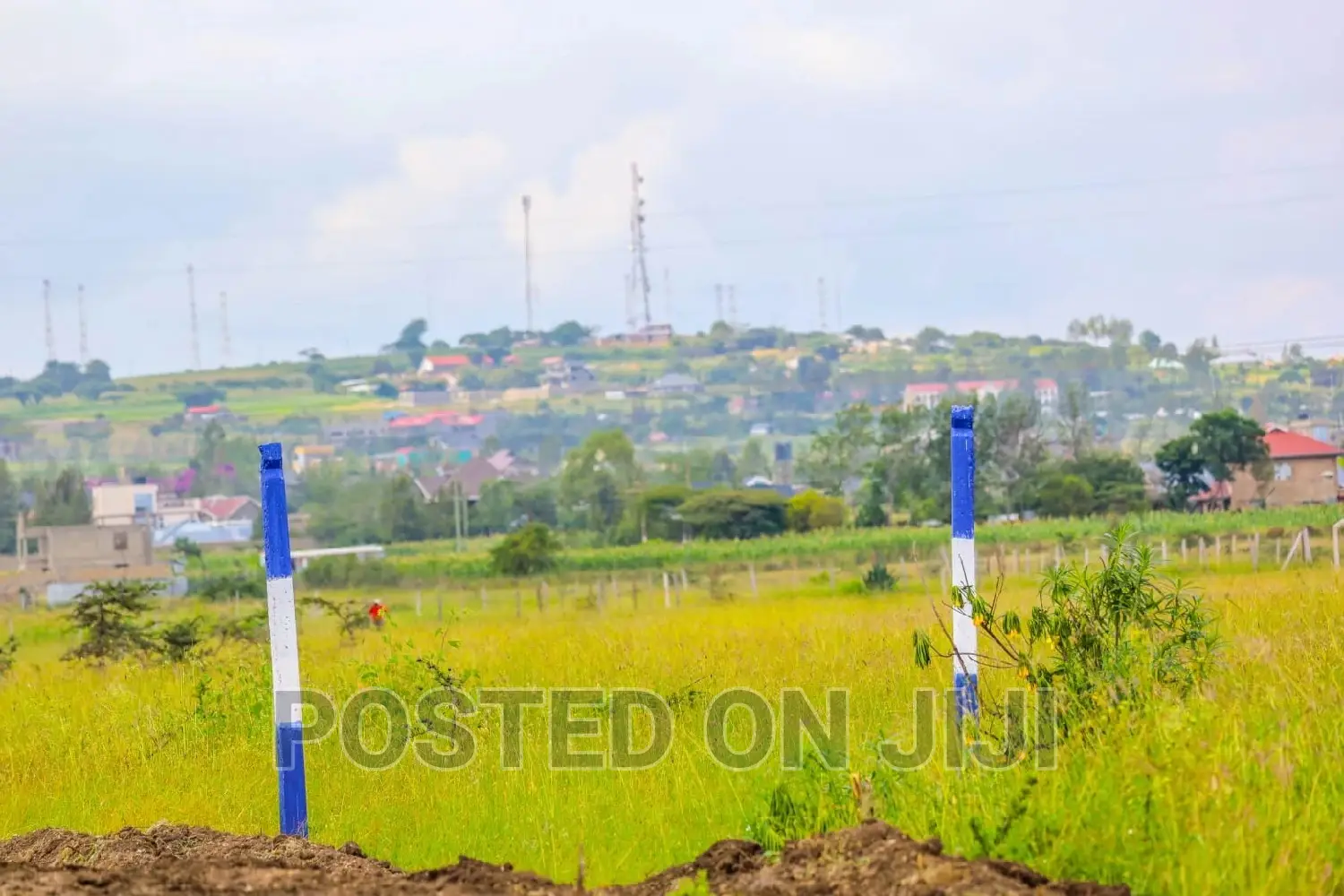 Discover Malaa's New 50x100 Plots - Invest Today For Tomorrow in Malaa