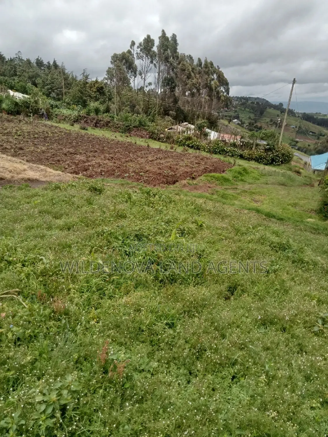 Flyover Naivasha Land for Sale - Affordable Prices in Magumu