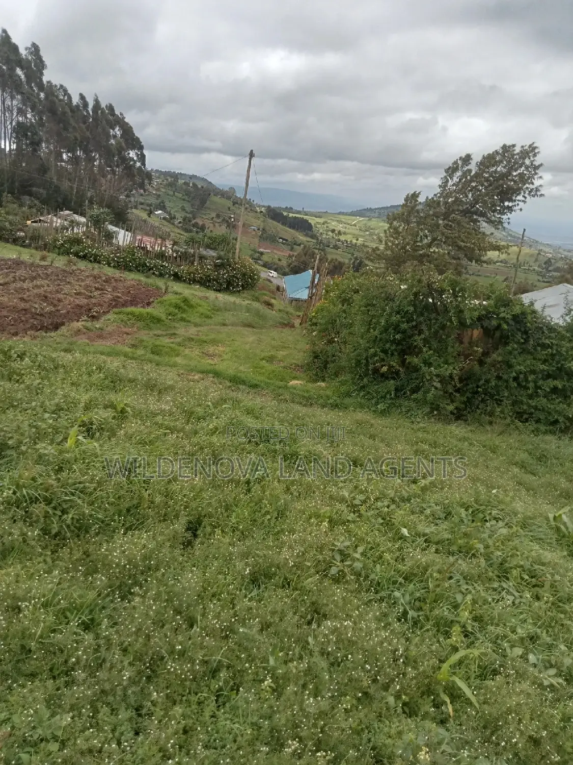 Flyover Naivasha Land for Sale - Affordable Prices in Magumu