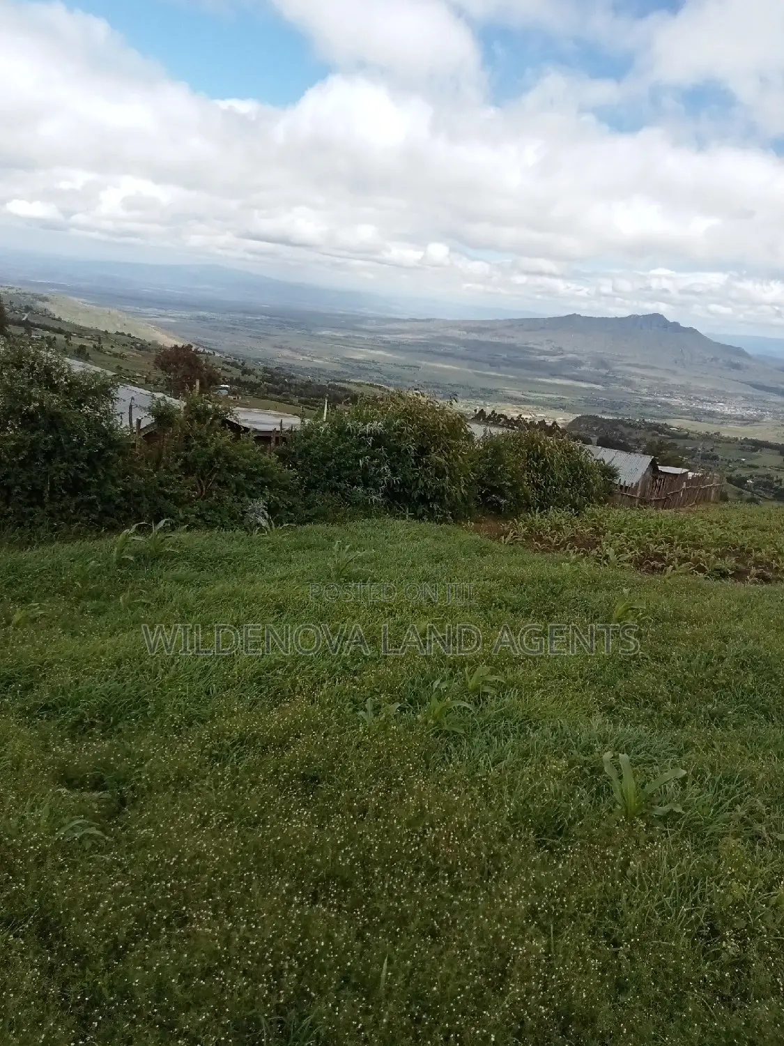 Flyover Naivasha Land for Sale - Affordable Prices in Magumu