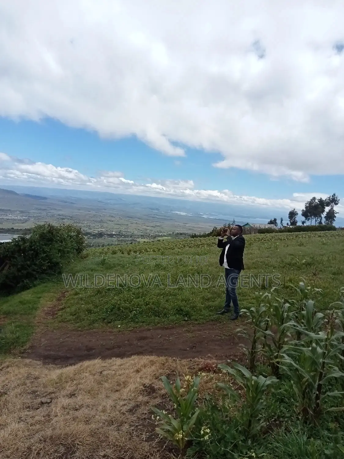 Flyover Naivasha Land for Sale - Affordable Prices in Magumu