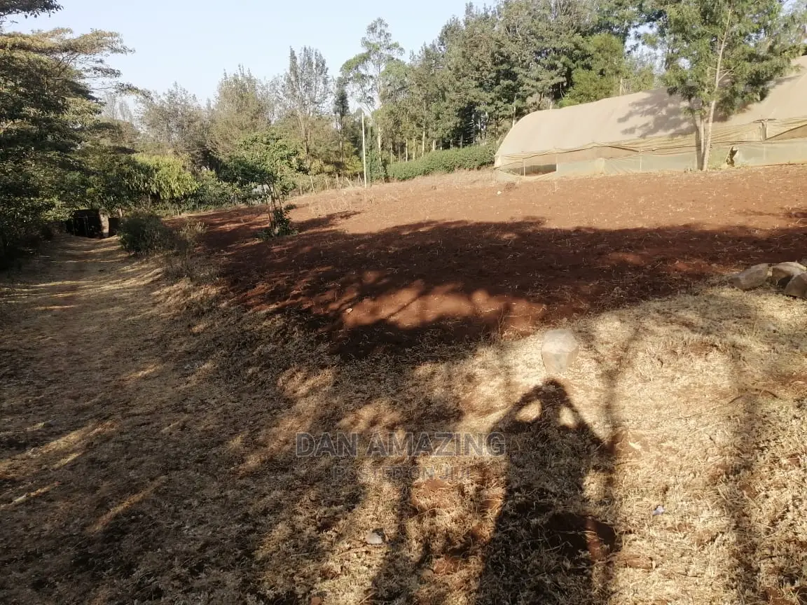 Half Acre Land in Ngong: Easy Tarmac Access - For Sale in Ngong