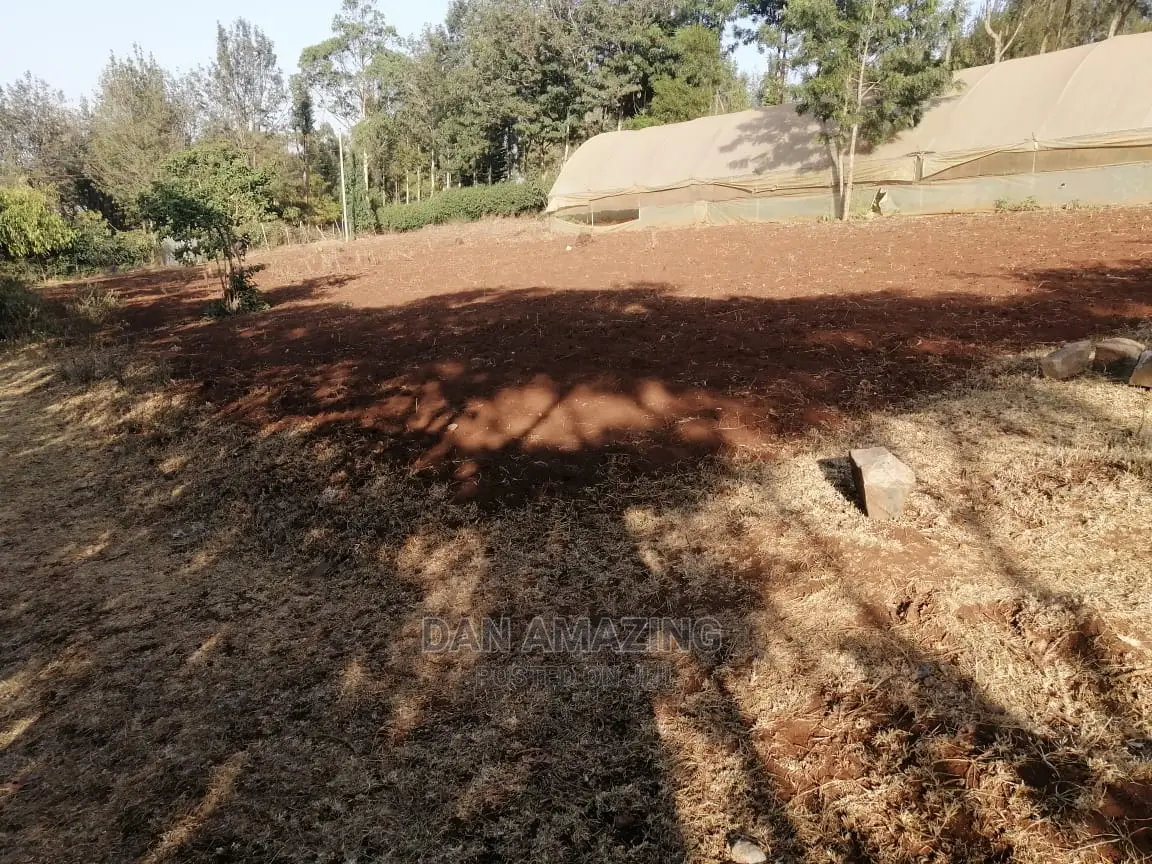 Half Acre Land in Ngong: Easy Tarmac Access - For Sale in Ngong