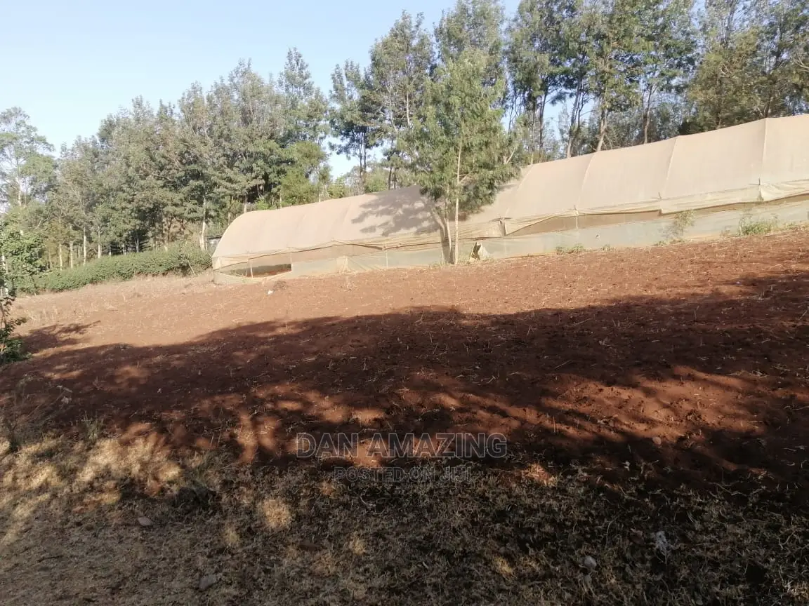 Half Acre Land in Ngong: Easy Tarmac Access - For Sale in Ngong